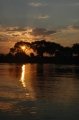 sunset Zambesi w trees